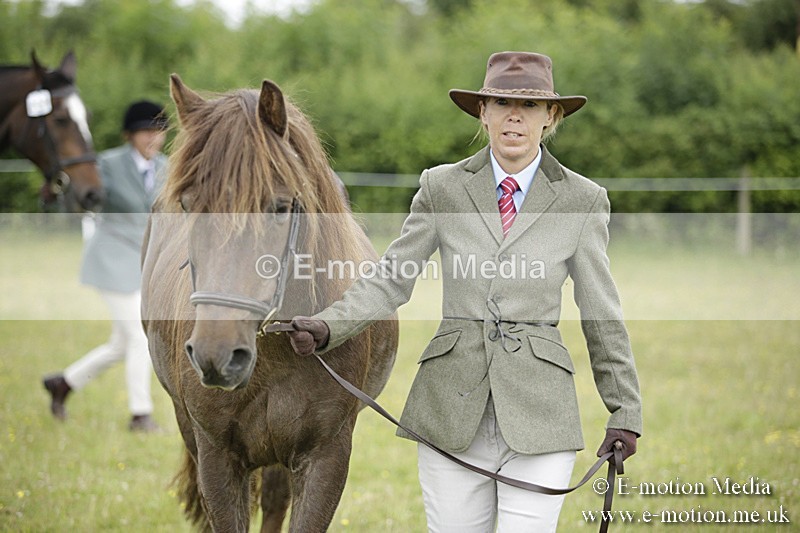 BVR160717-705 - Ring 2 BVRC Show 16/07/17