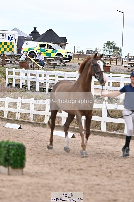 250716-141523-00991 - Trot Up 1.30 to 2.30