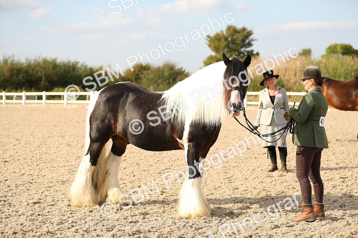 SBM_08580 - Class 28 - IH Veteran Horse