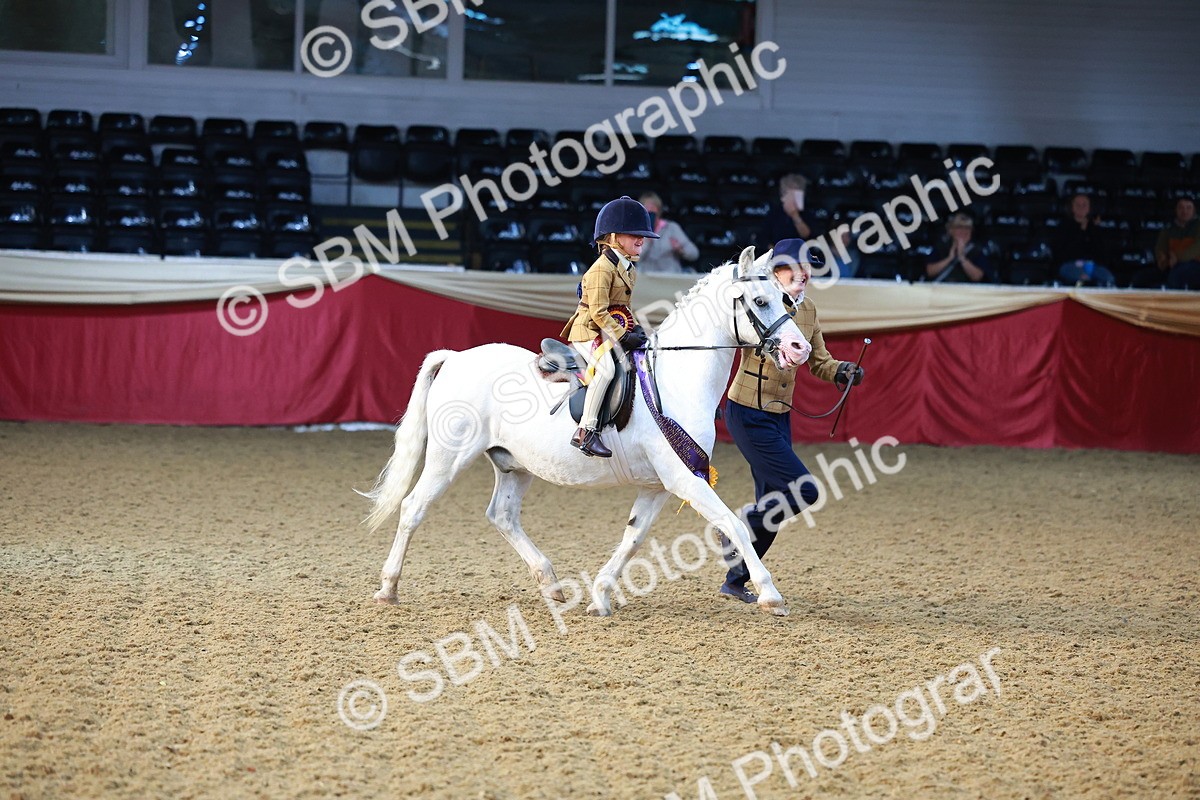 SBM_07763 - Class 101 - HOYS Veteran Qualifier - Ridden Diamond