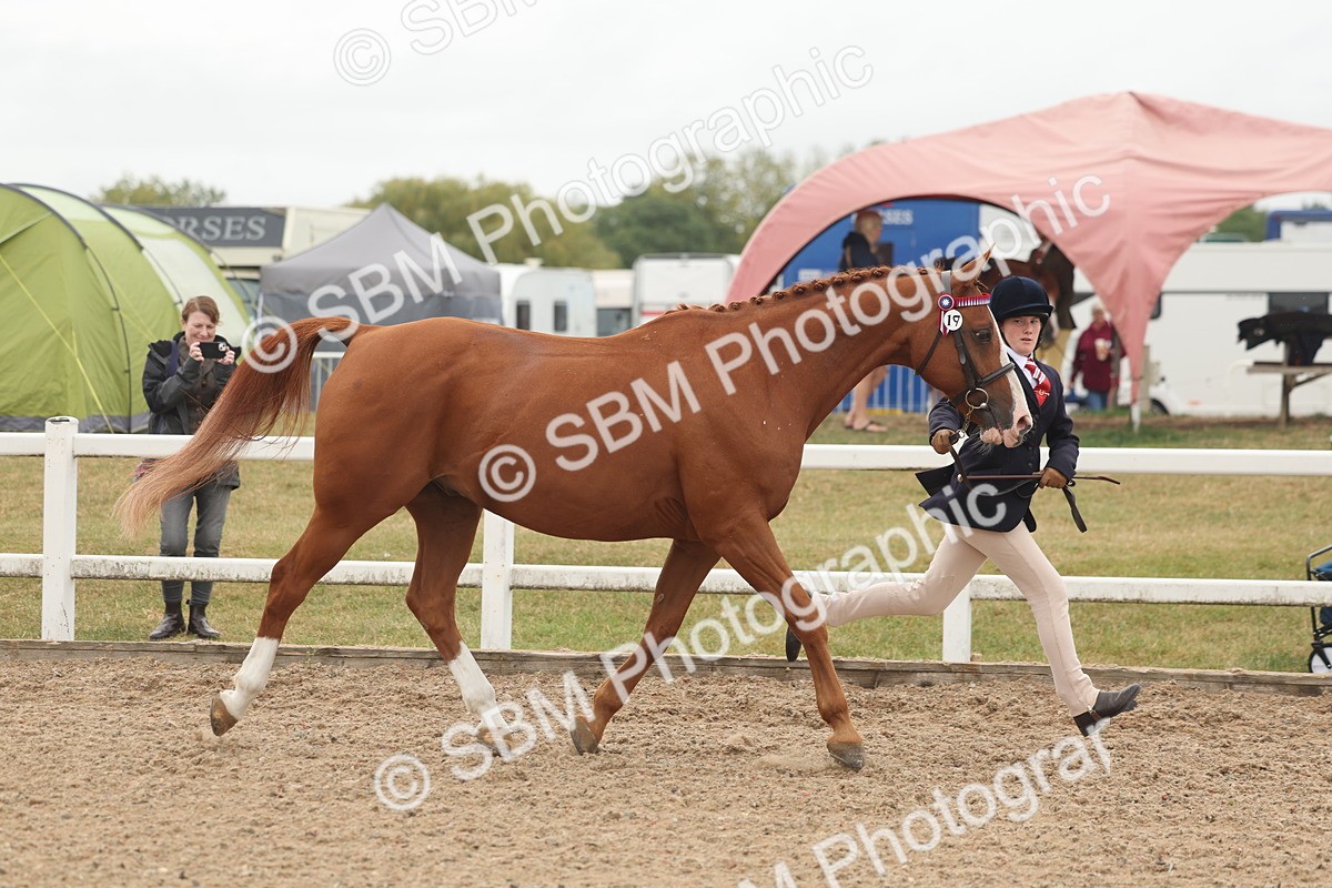 SBM_00521 - Class 13 Young Handler