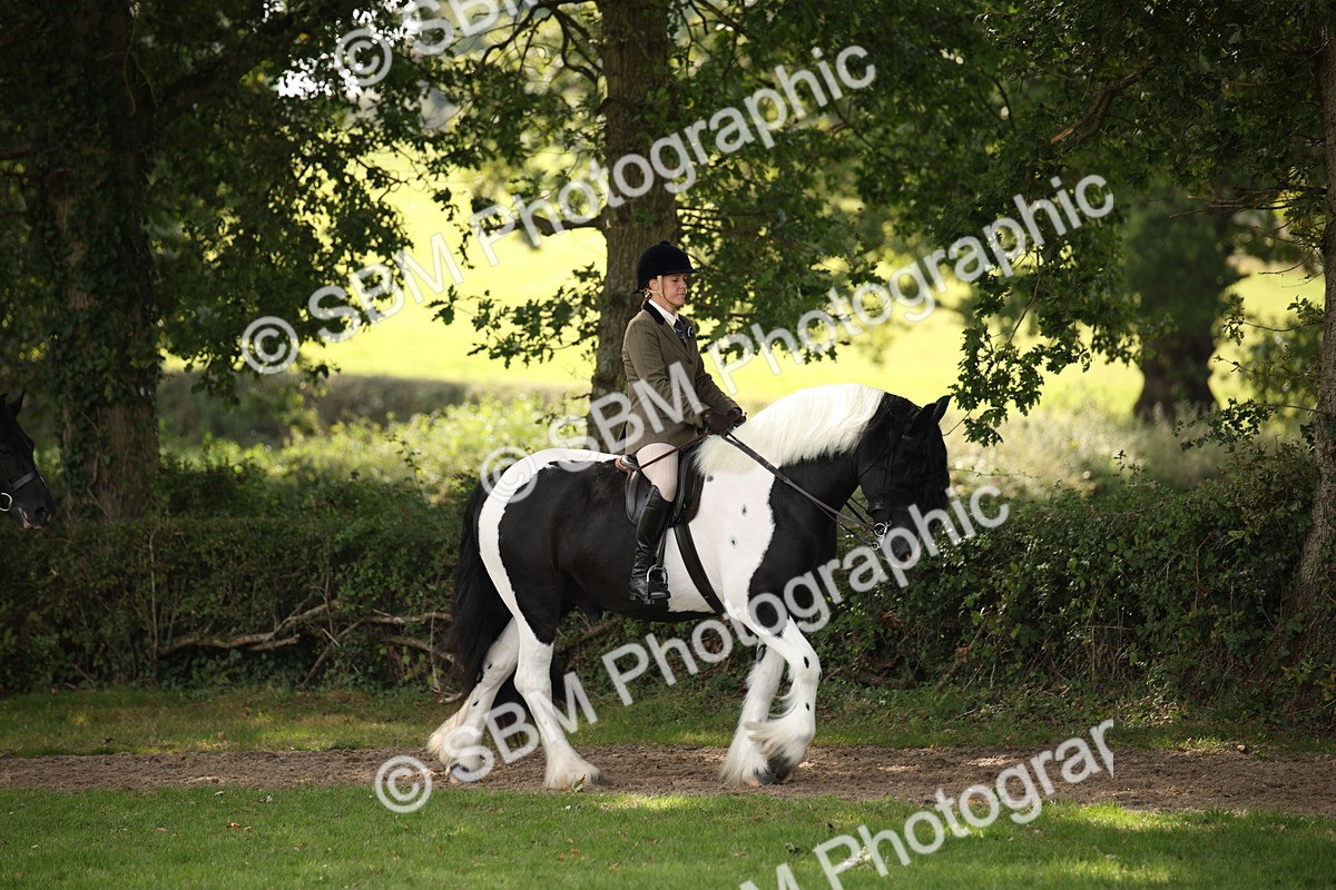 SBM_70063 - S65 - Piebald & Skewbald Horse Ridden