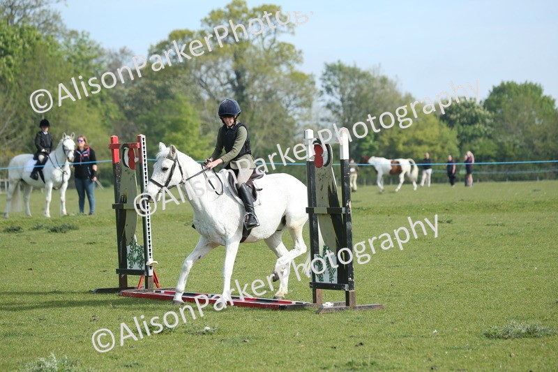 20260426-0173 - Class 13 - Rookie Jumping 50cm