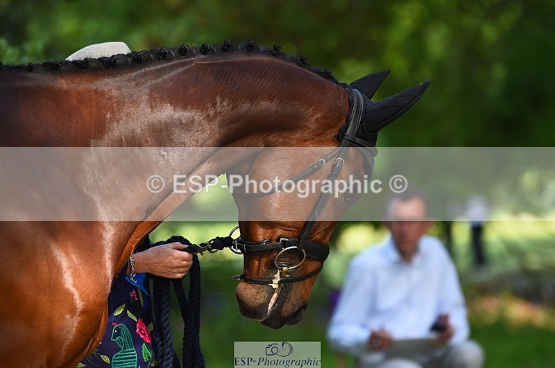 230524-171234-01356 - 160-SWHISKEY-Jeanette_Brakewell-WEDTrotUp+DR