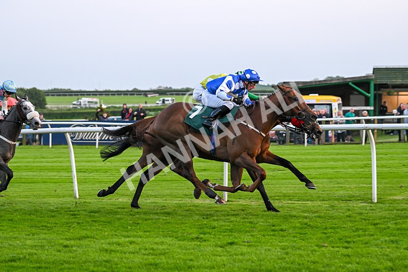 310524-Race 6-Mister Sox-9065 - Race 6