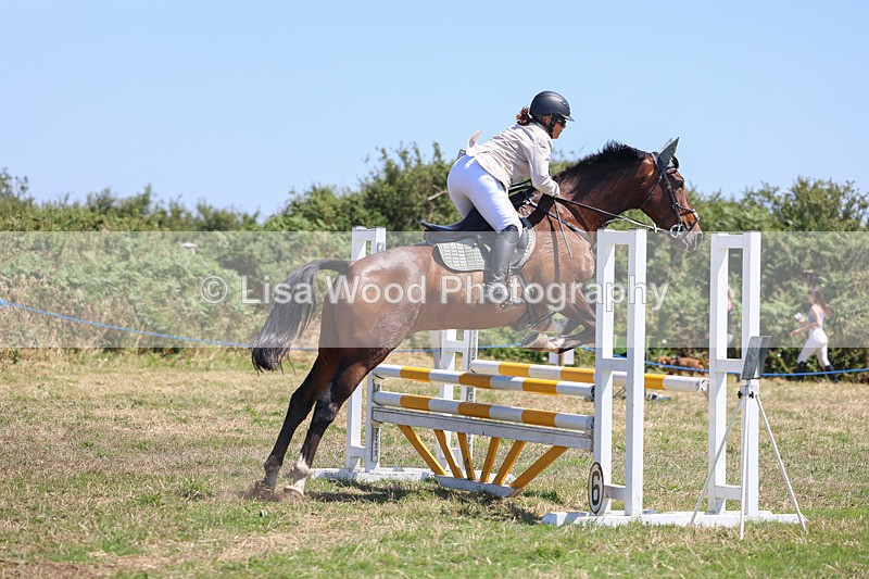3E7A4345 - Class 10: Senior British Novice/90cm open