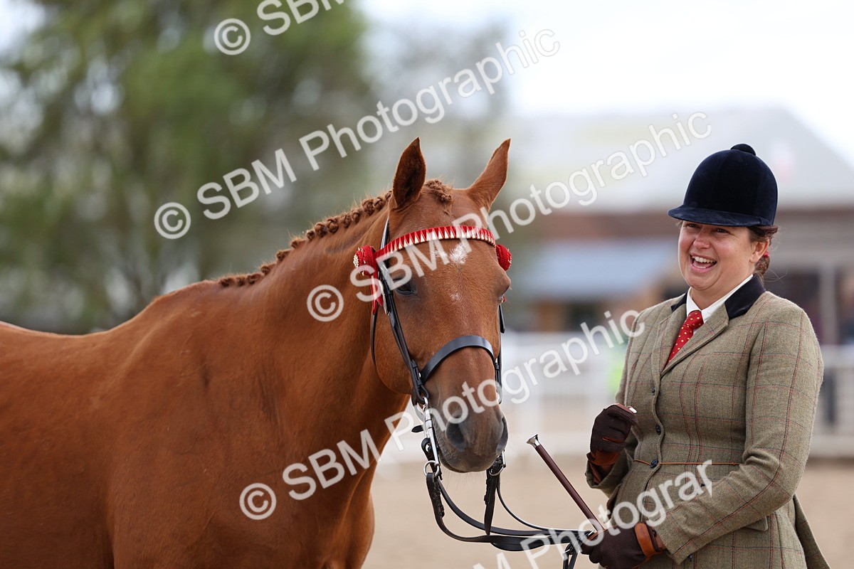 SBM_04500 - Class 26 - IH Foreign Breeds - Part Bred