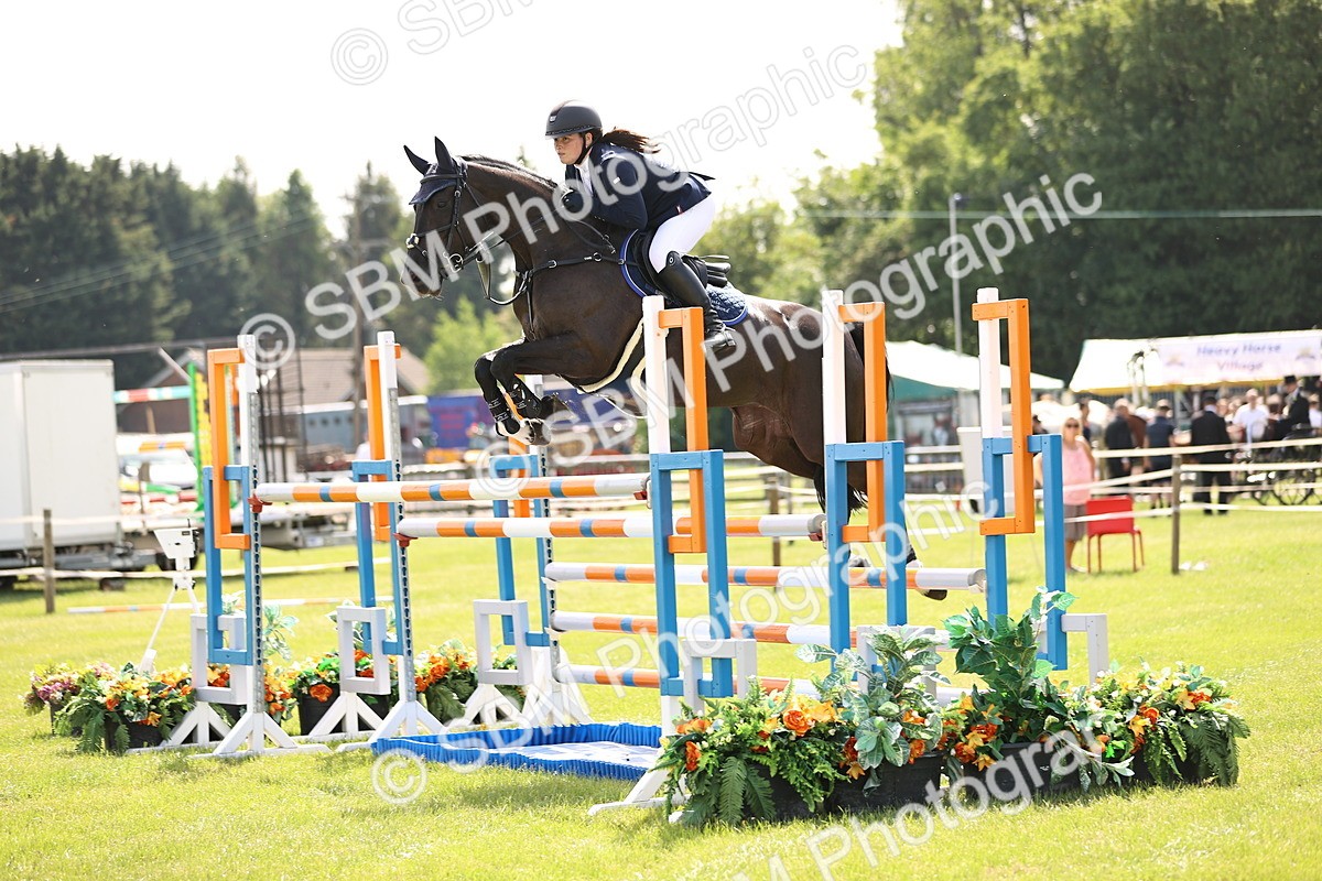 SBM_03079 - Class 201 - British Horse Feedds Speedi Beet HOYS Grade C