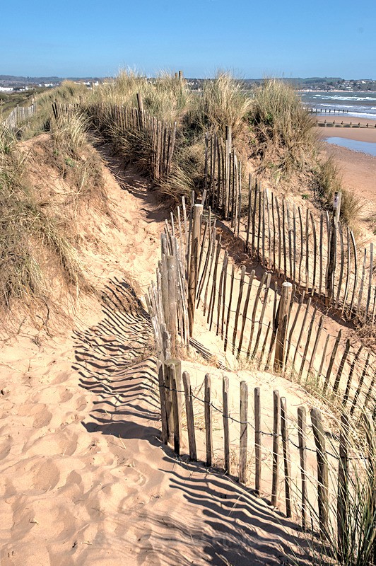 The Sand Dunes and fences at Dawlish Warren - Portrait Views