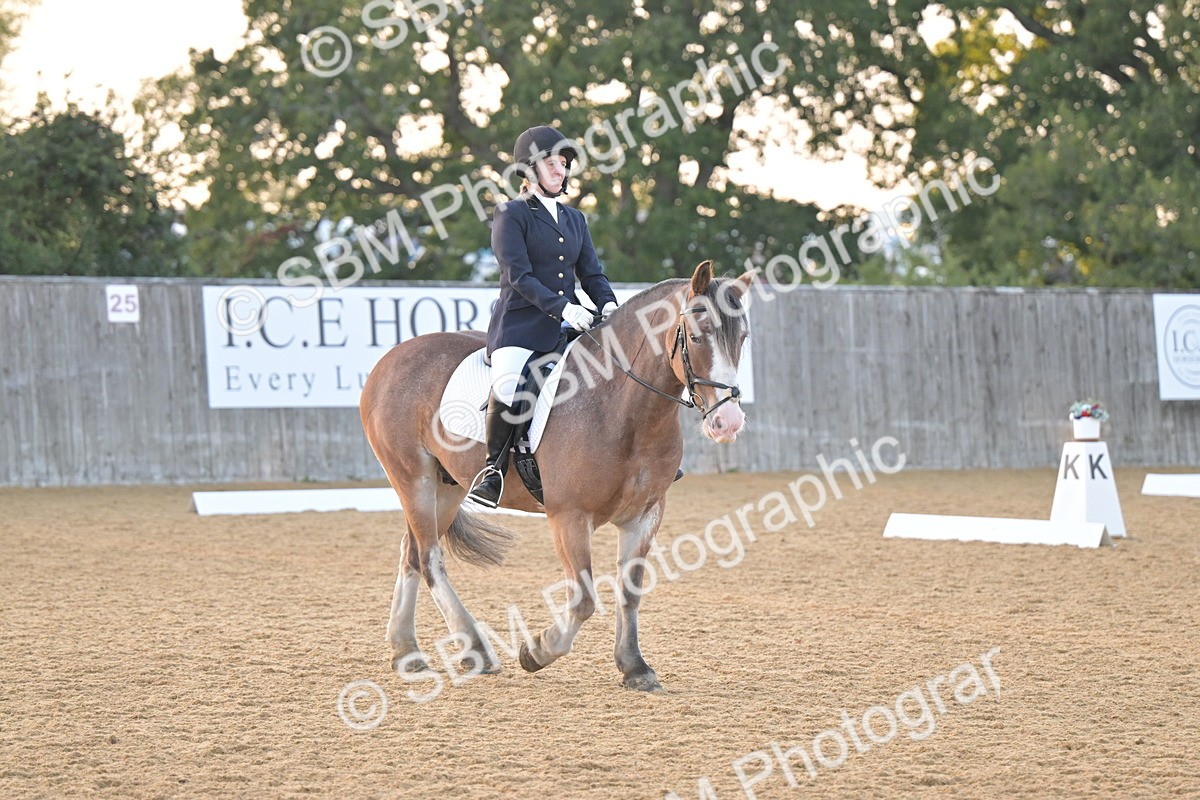 SBM_13556 - D3 - Small Tour Championship Intro 3