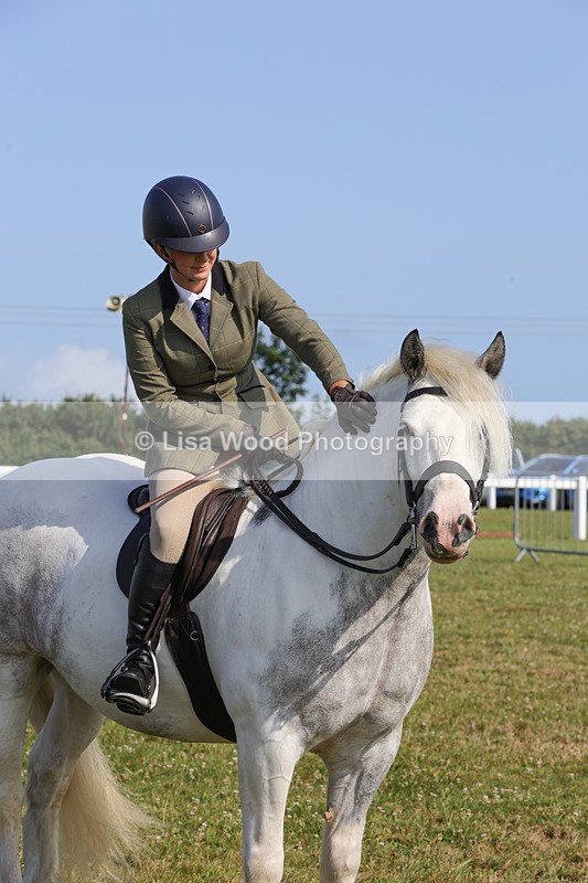 1X9A3402 - Class 28: Ridden Native/Trad Coloured Pony