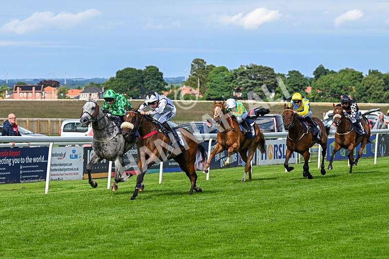 160724-Race 6-Blufferonthebus-9435 - Race 6