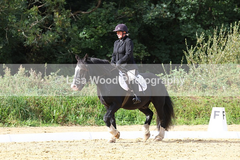 3E7A2319 - Class 1: Intro 4 2024 section A