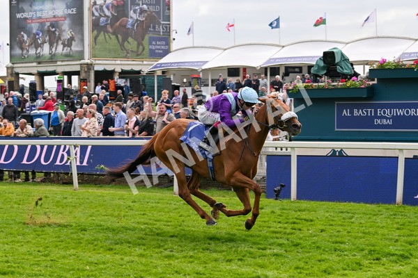 150525-See The Fire-4473 - Race 3 3.13pm Al Basti Equiworld Dubai Middleton Fillies' Stakes