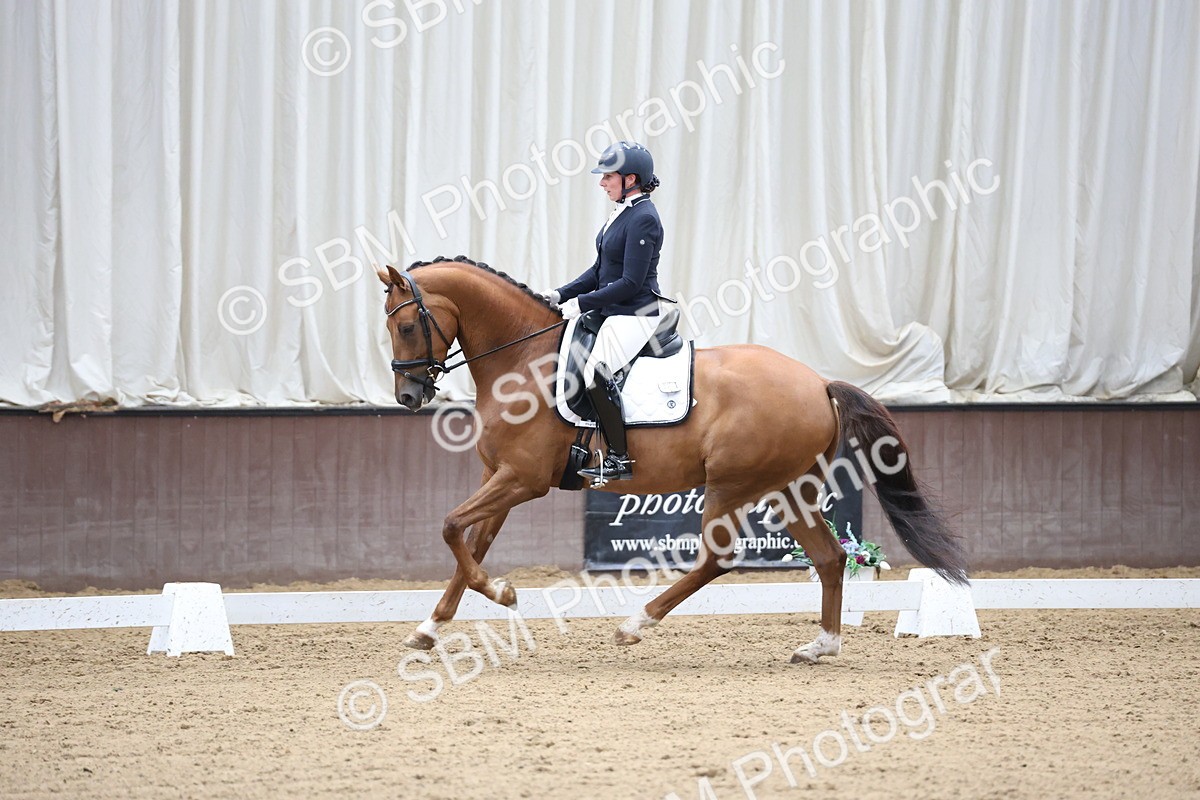 SBM_002898 - Class 5 - Novice 6 Gold - 10.24-11.30