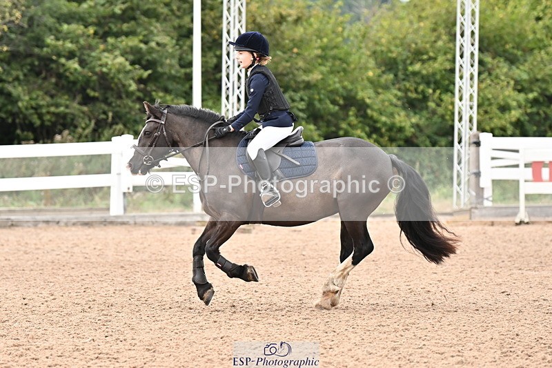 250819B-144011-00050 - Clear Round