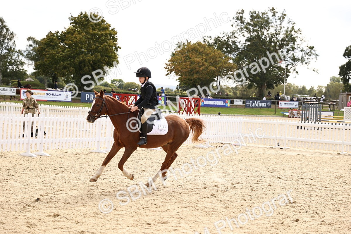 SBM_64049 - J12 - Junior Pony 55cm Championship