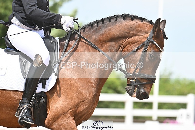 250620-122716-02088 - BD Cls 5 - Novice 6, 12.10pm to End