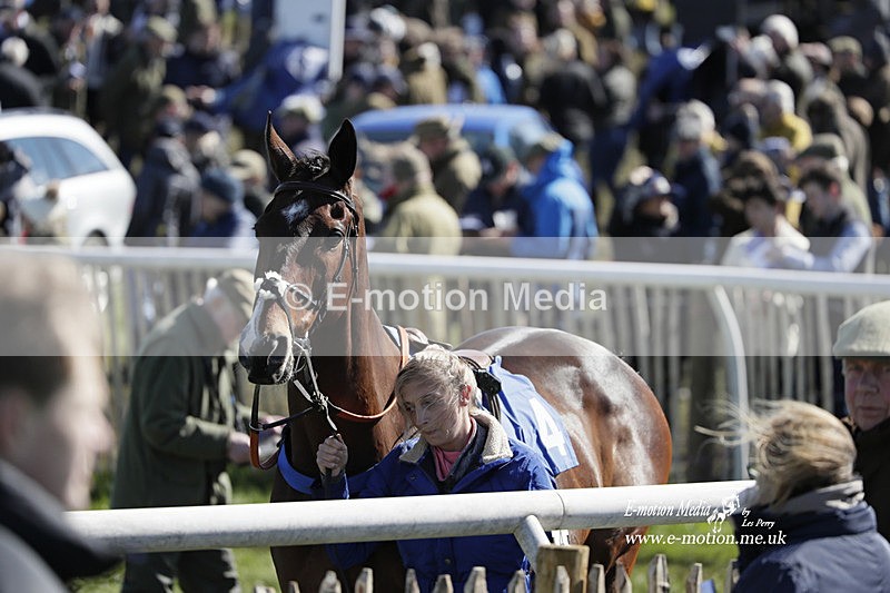 PtP 100423 574 - Old Berkshire Point-to-Point Lockinge 10/04/23