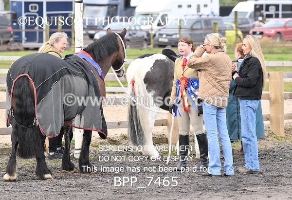 BPP_7465 - RING 1  (RIDDEN HORSES / IN HAND / VETERAN ETC)