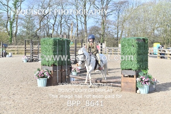 BPP_8641 - TRAINING STAKES