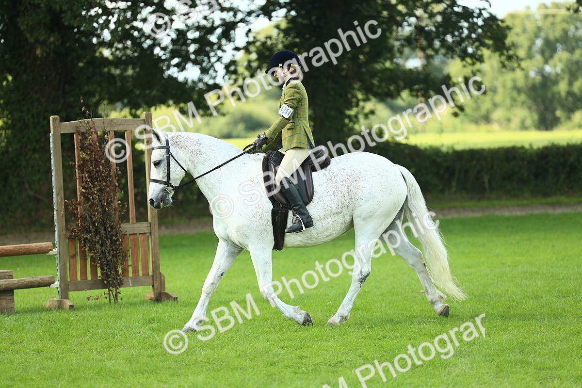 SBM_43039 - S30 - M&M Working hunter Pony