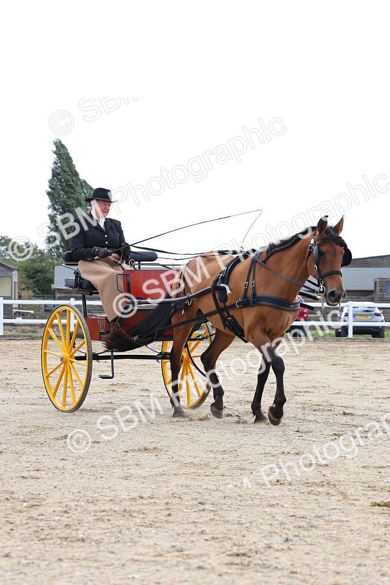 SBM_000773 - Class 6 - Exercise Vehicle 13.2 and over