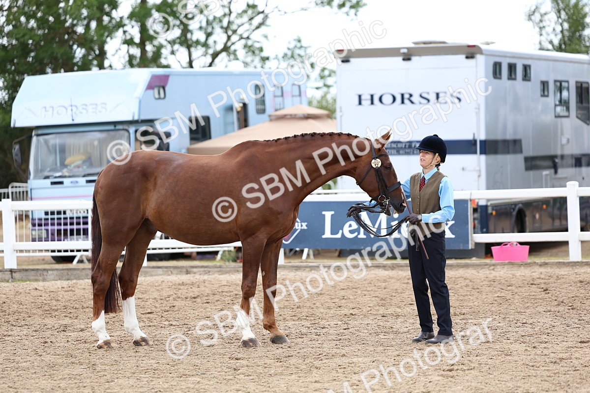 SBM_05061 - Class 27 - IH Competition Horse or Pony