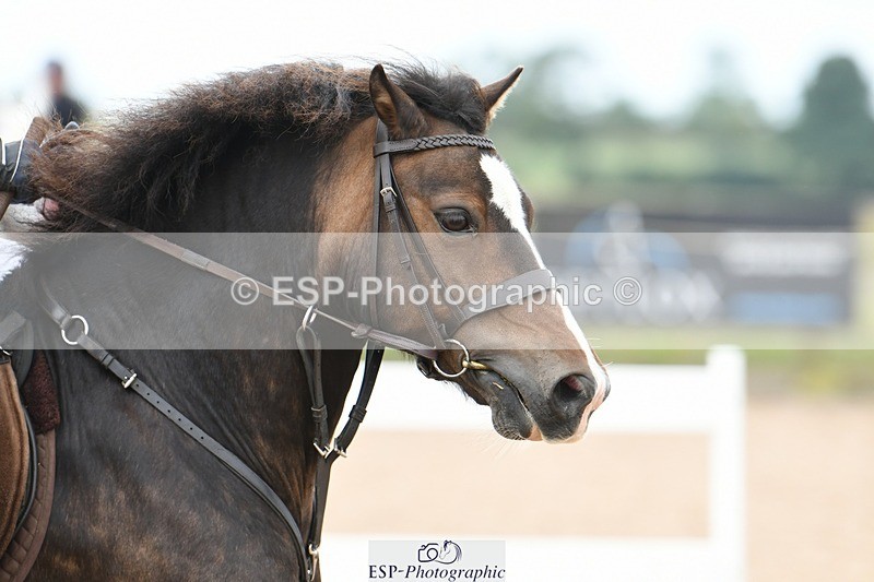 250807-131258-01020 - 80cm Round 2