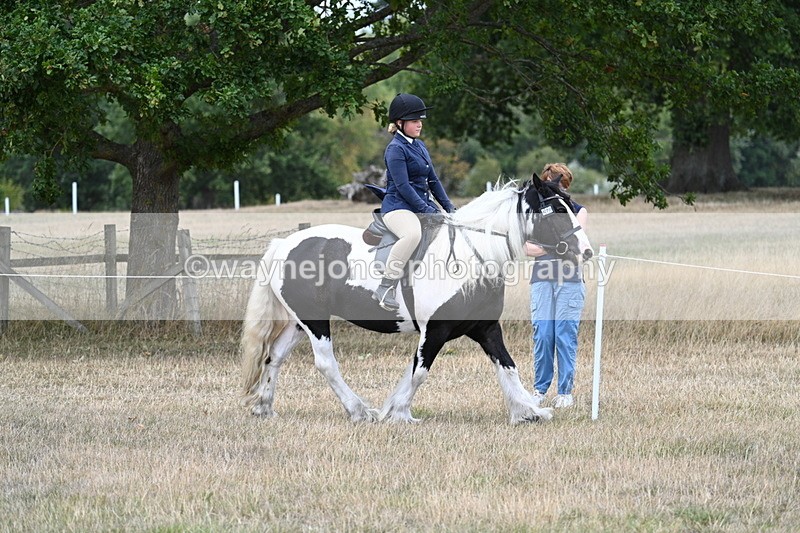 WJ7_4793 - Class 12 Ridden Cob