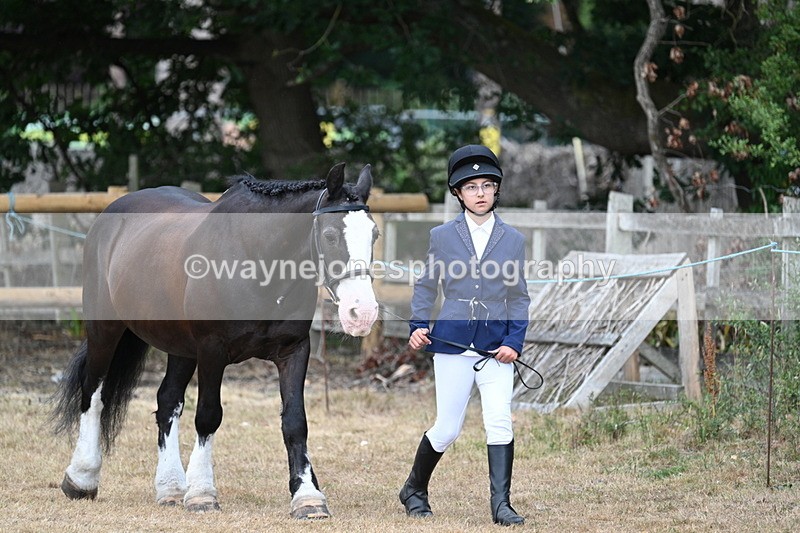 WJ7_9433 - Class 5 Most Handsome Gelding (up to 14.2hh)