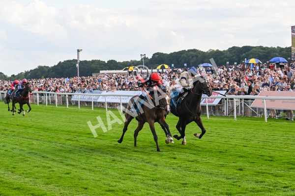 260724-Race 3-Elsies Ruan-4873 - Race 3 6.40pm Ire-Incentive, It Pays To Buy Irish EBF Restricted Novice Stakes