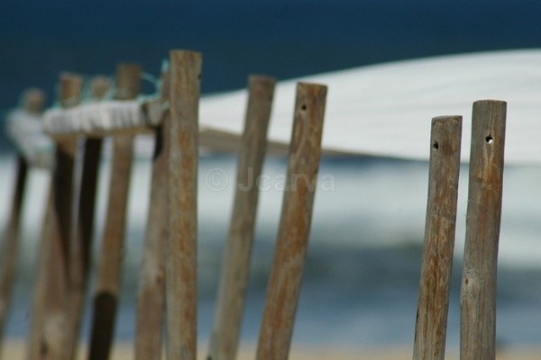 Sea Focused - Seascapes