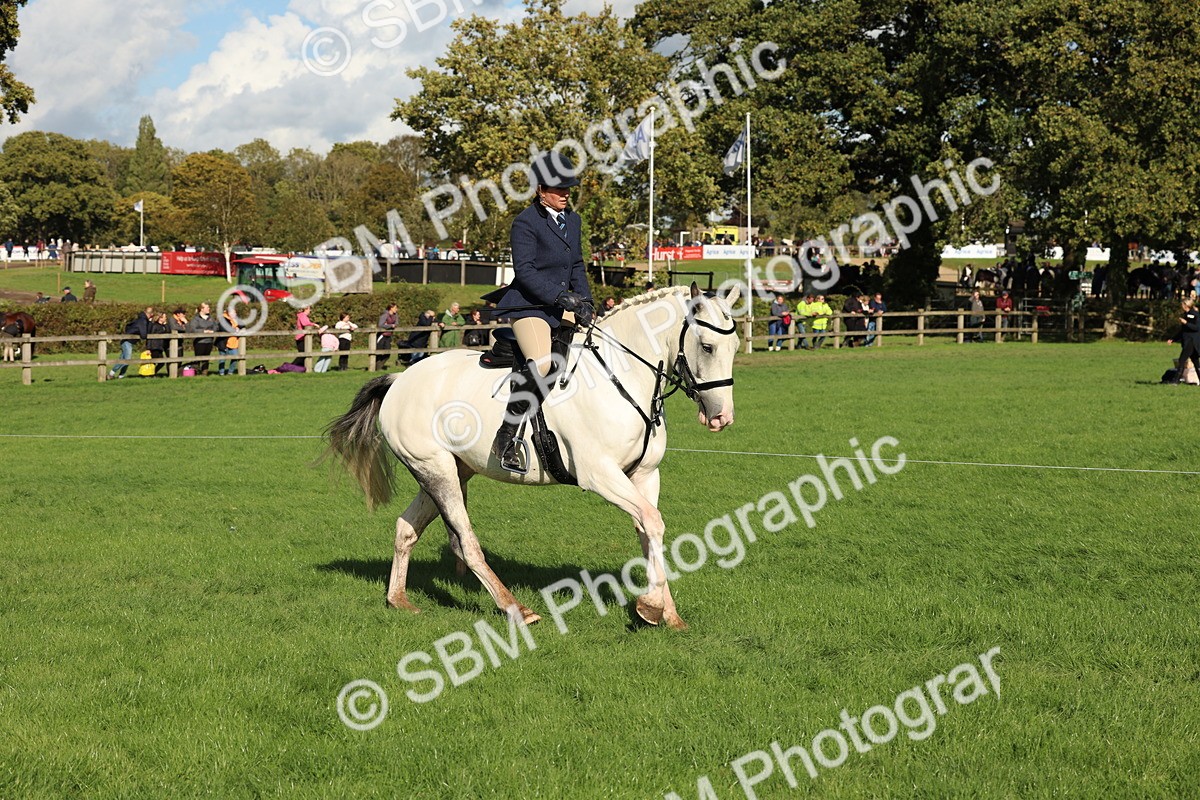 SBM_50094 - S34 - Novice & Newcomers Working Hunter