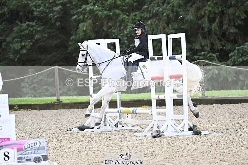 251005A-090519-02933 - Cls 02 GR 50cm