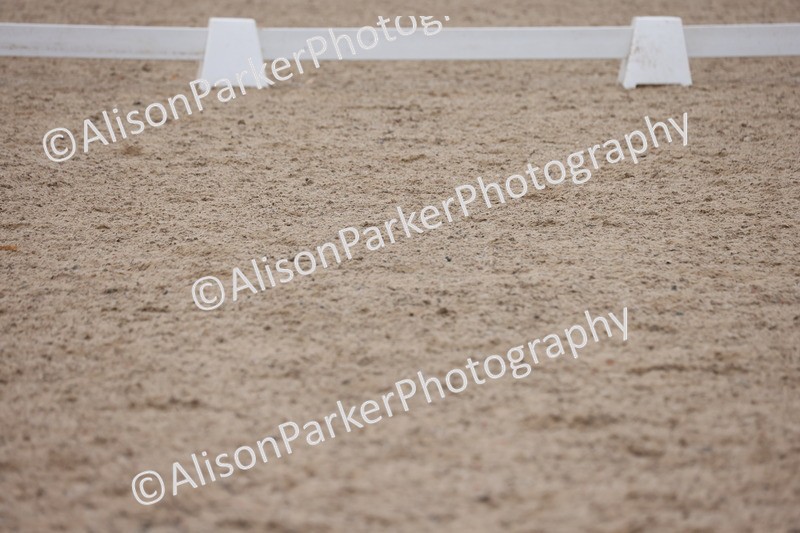 20250820-0304 - Class 11 - My Quest Novice 3