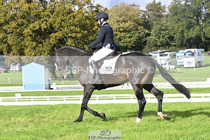 251023A-145521-04438 - E-383-Amy.Harris