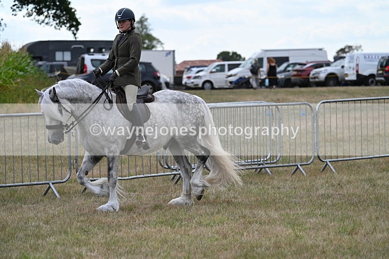 WJ7_4941 - Class 12 Ridden Cob