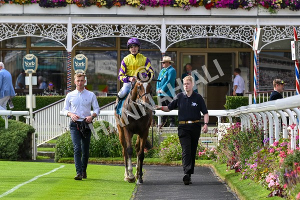 260724-Race 1-Craven-4393 - Race 1 5.30pm eventmasters.co.uk Handicap