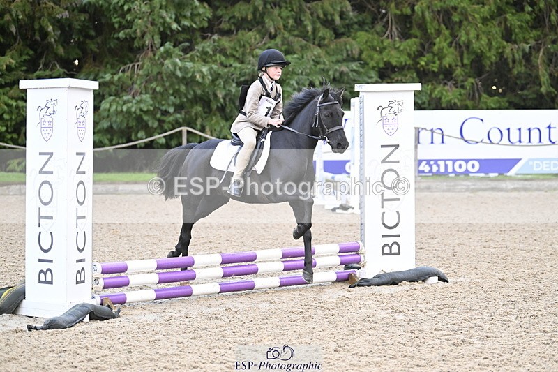 251005A-081610-02724 - Cls 01 GR 40cm