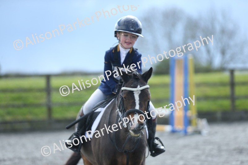 20260412-1816 - Show Jumping