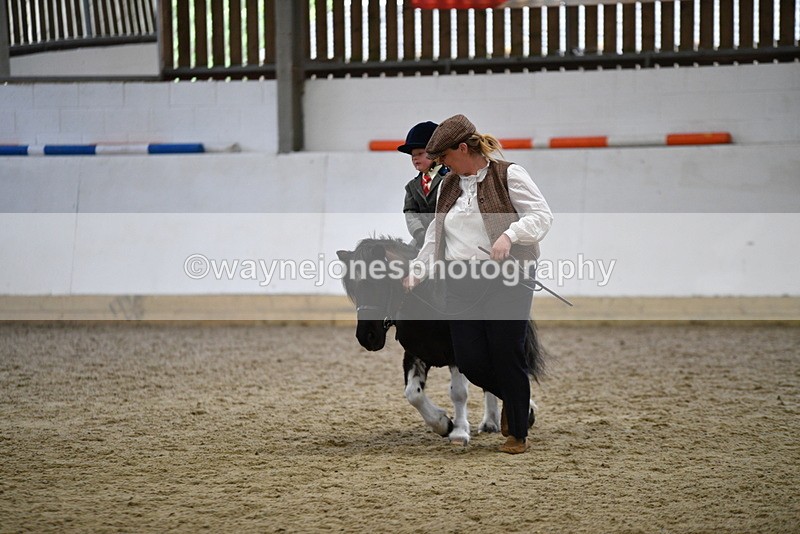 WJ5_6674 - Class 10 Childs Pony