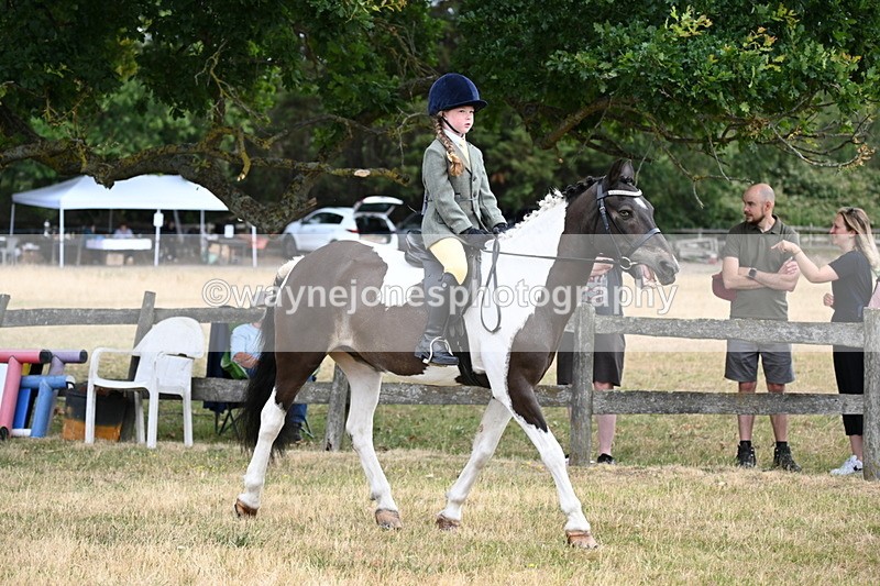 WJ6_3888 - Class 9 Tack & Turnout
