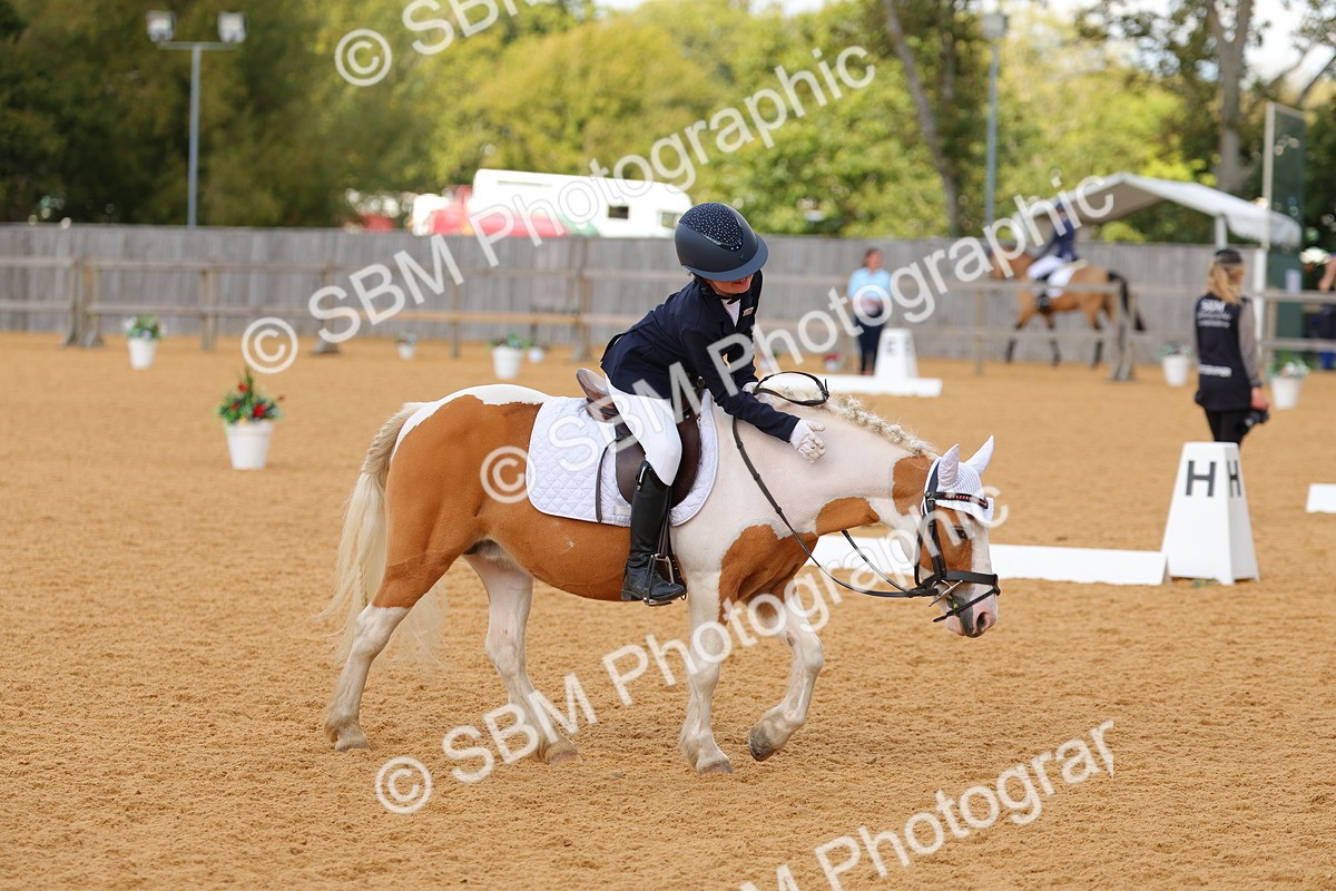 SBM_44125 - D22 - Junior Championship - Intro B