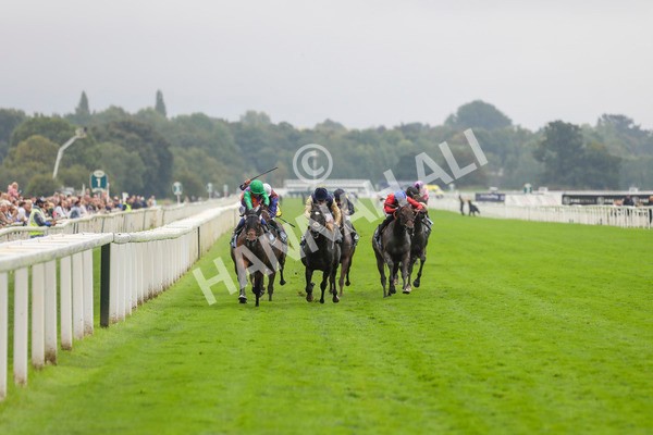 080924-Race 5-Quinault-4497 - Race 5 4.00pm Starman At Tally Ho Stud Garrowby Stakes