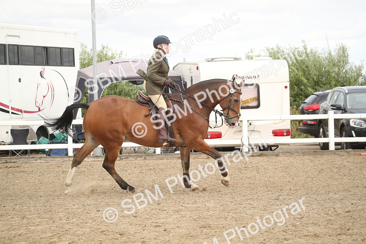 SBM_16618 - Class 507a - Working Veteran - 60cm (15-19)