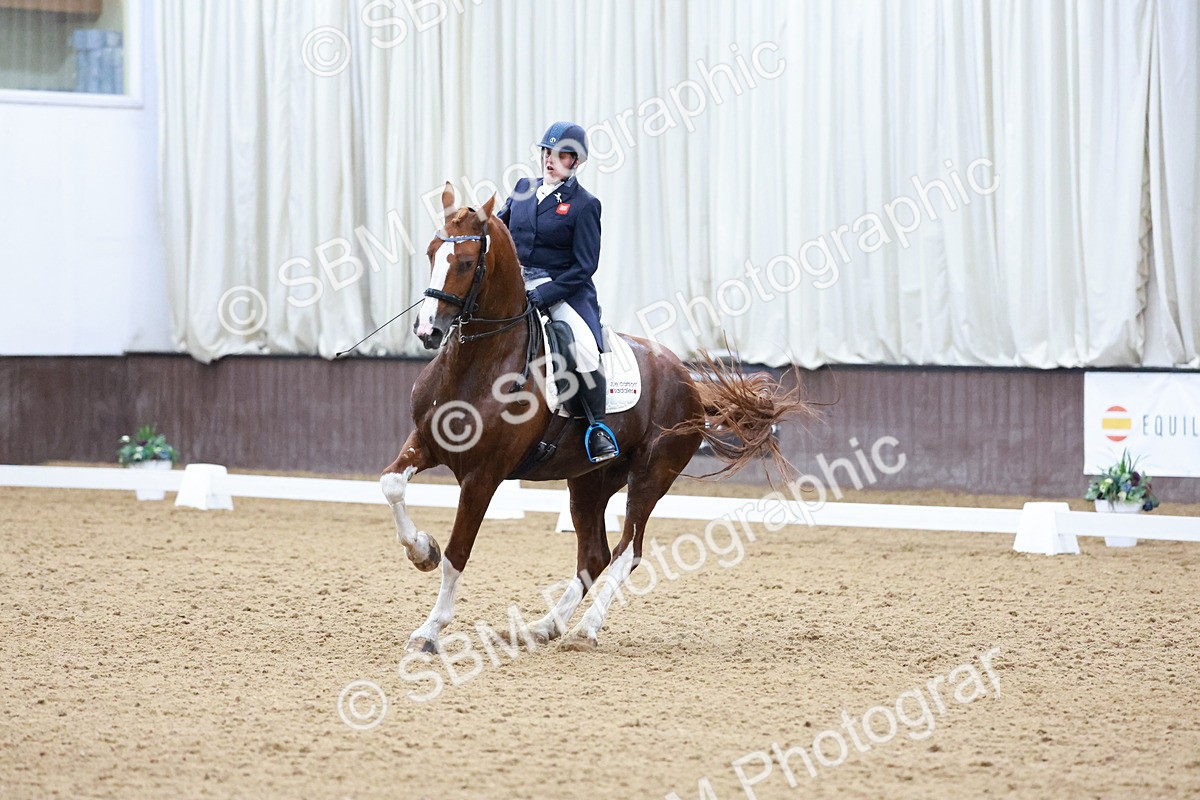 SBM_021272 - Class 14 - FEI Grand Prix - 17.40-18.34
