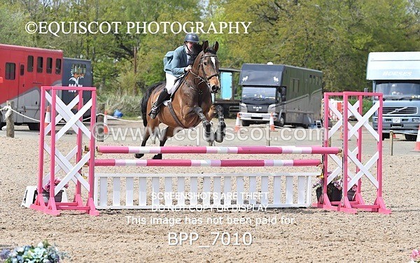 BPP_7010 - CLASS 5 FRI Veterans Show Jumping