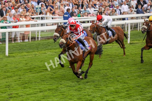 270724-Race 1-Night On Earth-4611 - Race 1 2.05pm Sky Bet 'Jump Jockeys' Nunthorpe' Handicap