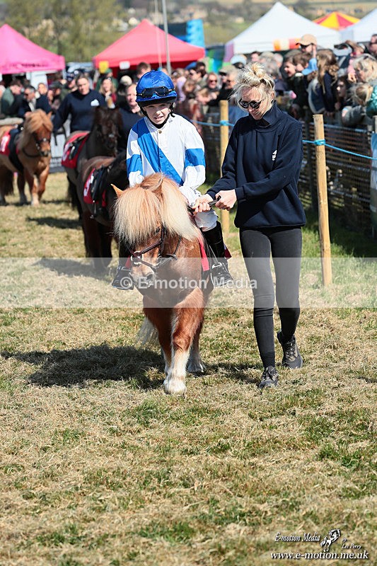 Shet 060426 93 - Shetland Pony Racing Paxford Races Easter Mon 06/04/26